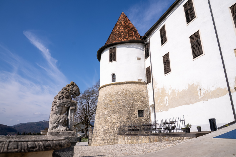 Zavod za kulturo Sevnica