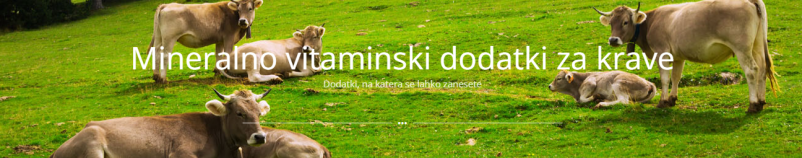 Kvalitetni Josera vitamini za živali Slovenija