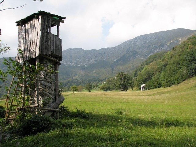 Lov na gamsa Slovenija