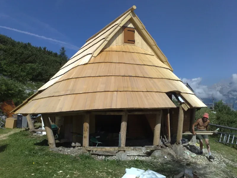 Macesnove in smrekove skodle Slovenija