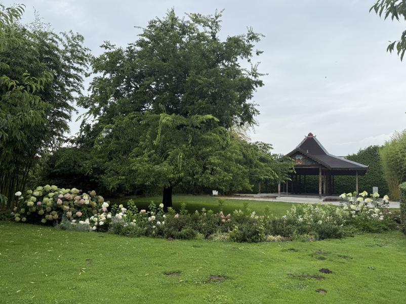 Marketing v hortikulturi 