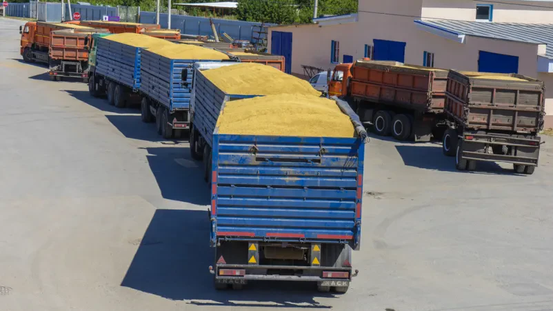 Mednarodni transport in logistika
