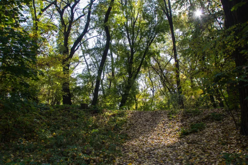 Vodstvo po muzejih na prostem v Bovcu