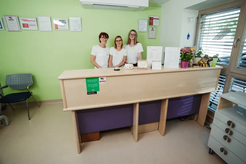Najboljša samoplačniška fizioterapija Dolenjska