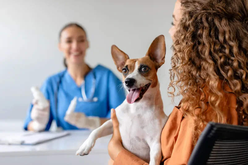 Veterinarski pregledi Ljubljana
