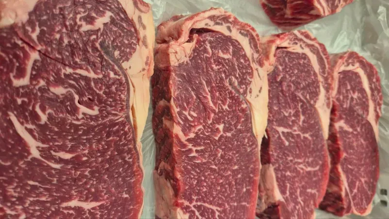 Najboljši premium steak Slovenija