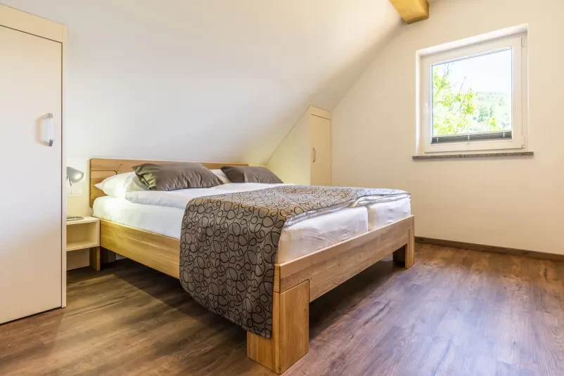 Apartma z wellnessom Bohinj