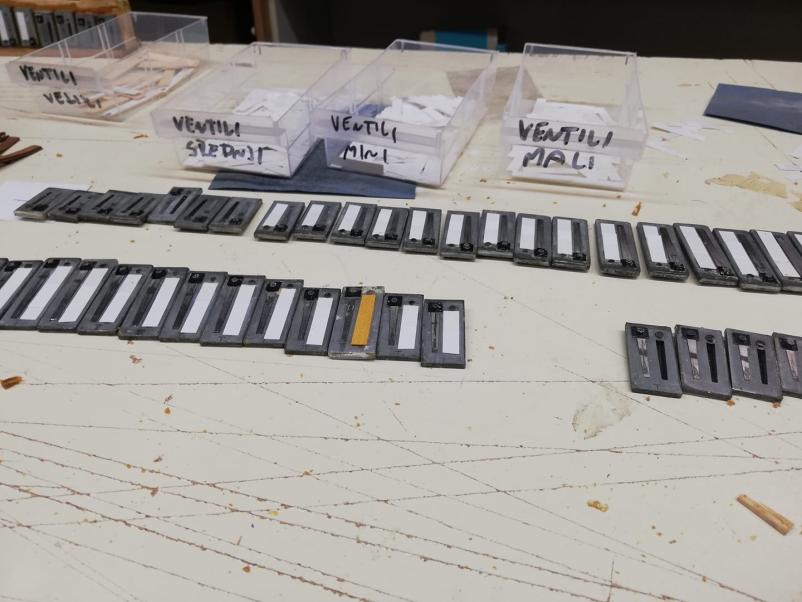 Izposoja harmonik za začetnike in glasbene šole Savinjska