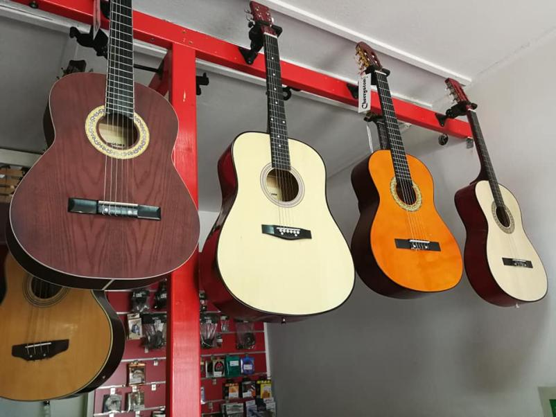 Vzdrževanje in uglasitev kitare Savinjska, Štajerska