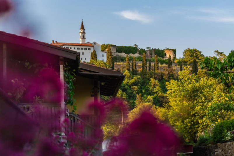 Obiščite vinsko klet in vinograd v Vipavski dolini 