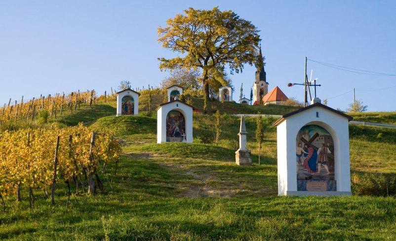 Turistična kmetija s prenočišči Maribor