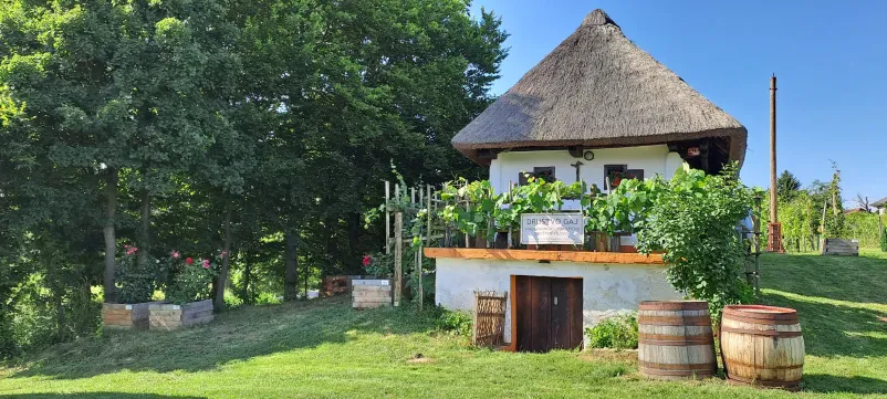 Vinski sodi, steklenice in vinograd Čudovita panorama vinogradov in vinskih sodov v Prekmurju poudarja pomen vinogradniške tradicije v regiji.