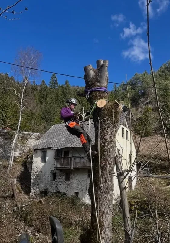 Urejanje okolice in višinska dela Gorenjska, Slovenija