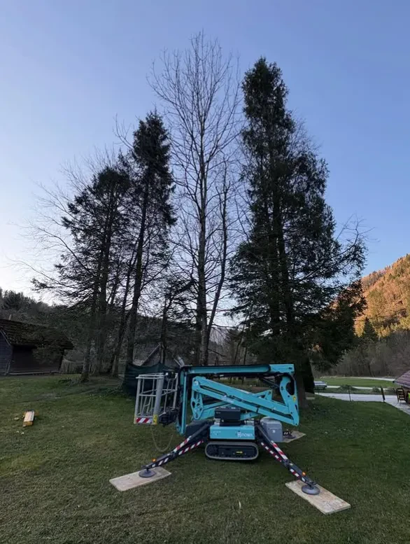 Obrezovanje, podiranje dreves Gorenjska