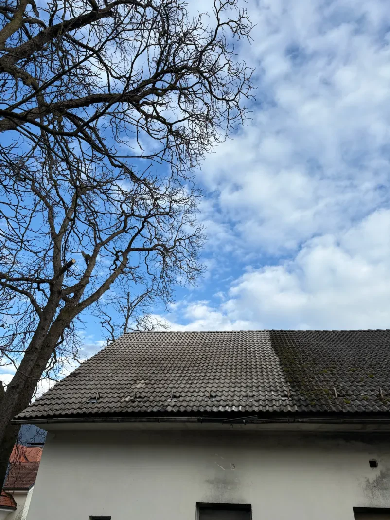 Obrezovanje dreves na višini Gorenjska, Slovenija