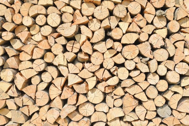 Poceni les Primorska