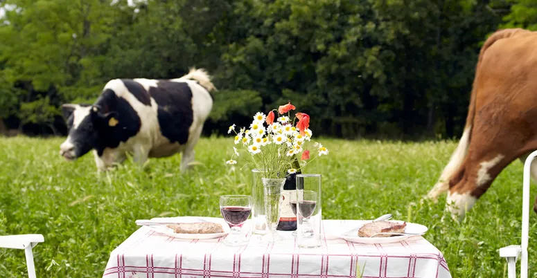 Komu lahko prodam živino?