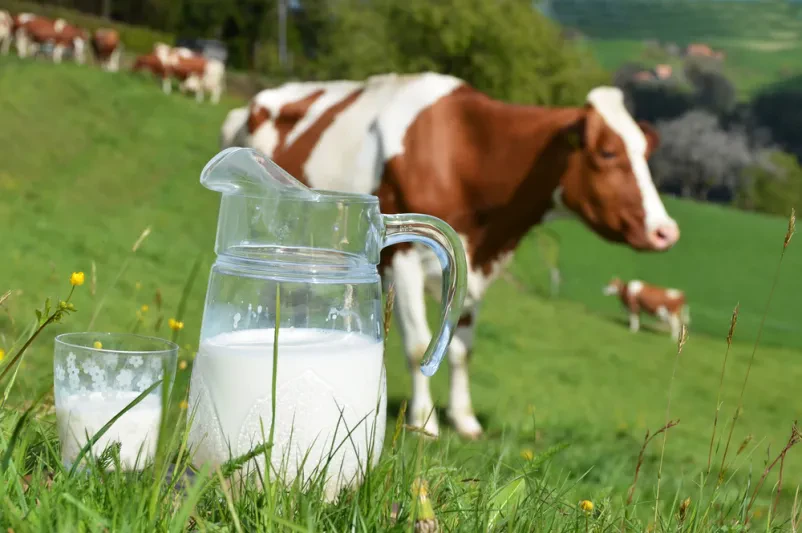 Odkup in prodaja mleka in živine