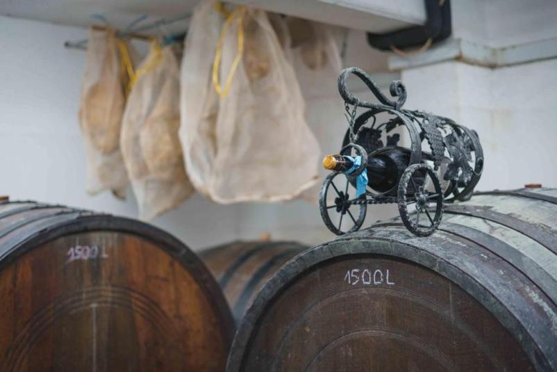 Degustacije vina v vinski kleti Bregovi Vipavska dolina