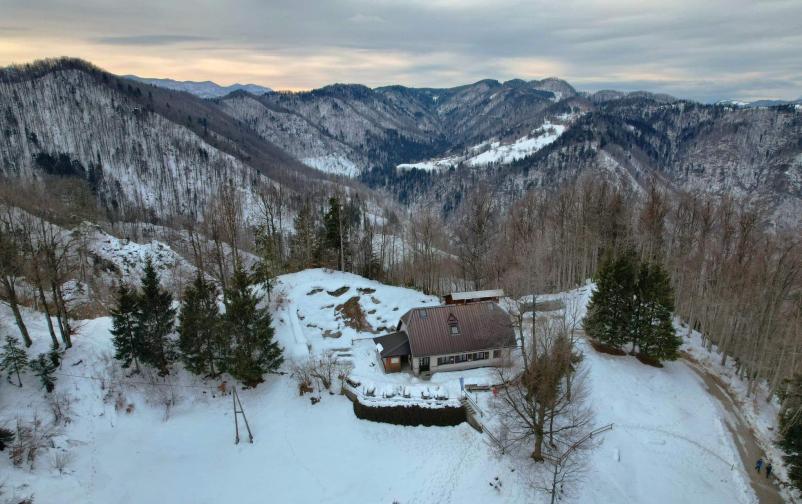 Koča na Hleviški planini