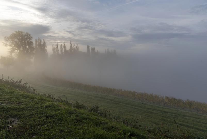 Wellness oddih v luksuznih nastanitvah Ljutomer