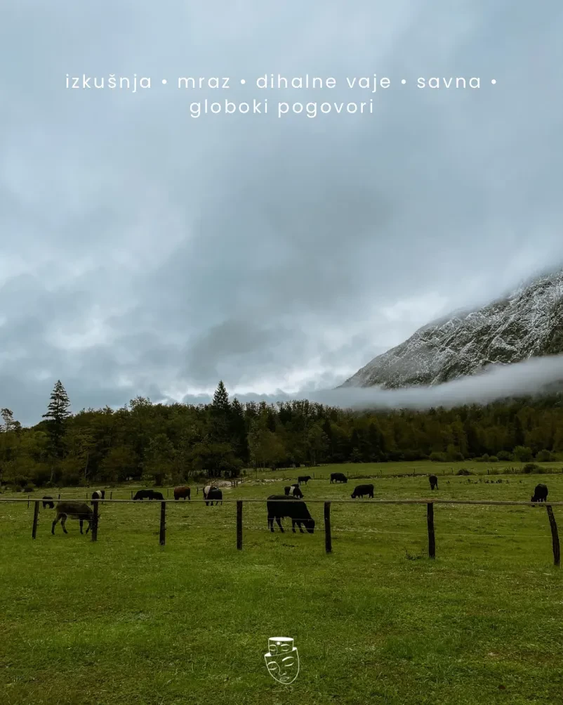 Vabljeni na vikend Tribe Delavnico - spoznajte se!