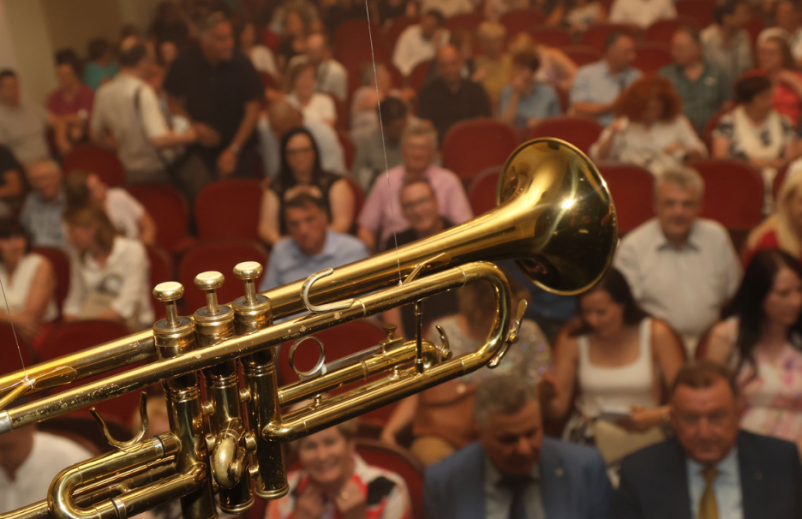 Poučevanje inštrumentov v glasbeni šoli Cerknica