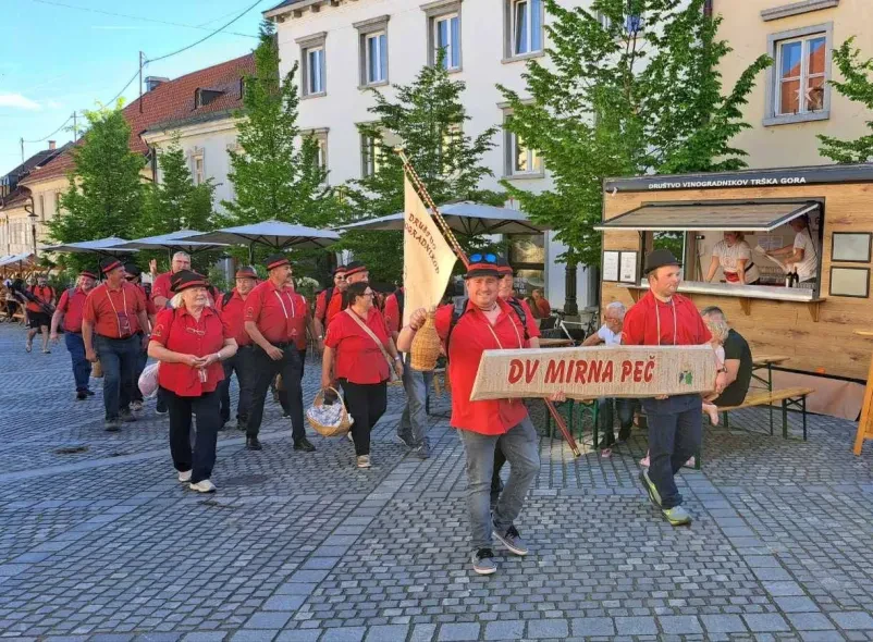 Povezovanje vinarjev Mirna Peč