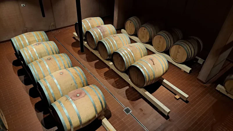 Ocenjevanje vina Mirna Peč, Dolenjska