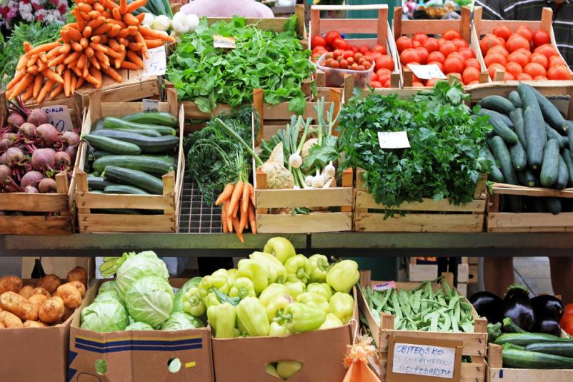 Sodobna logistika temperaturno nadzorovanih izdelkov Slovenija