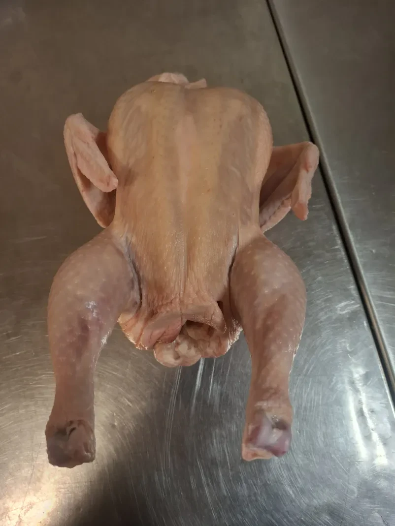Nakup svežih rib Posavje