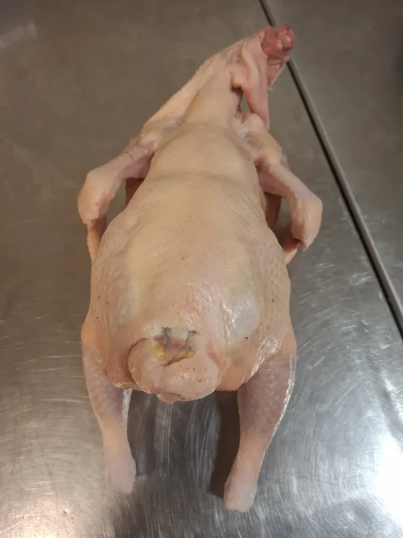 Dostava rib in piščancev v Posavju