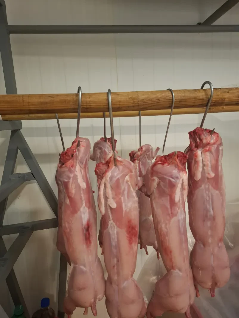 Prodaja, dostava rib na dom Posavje