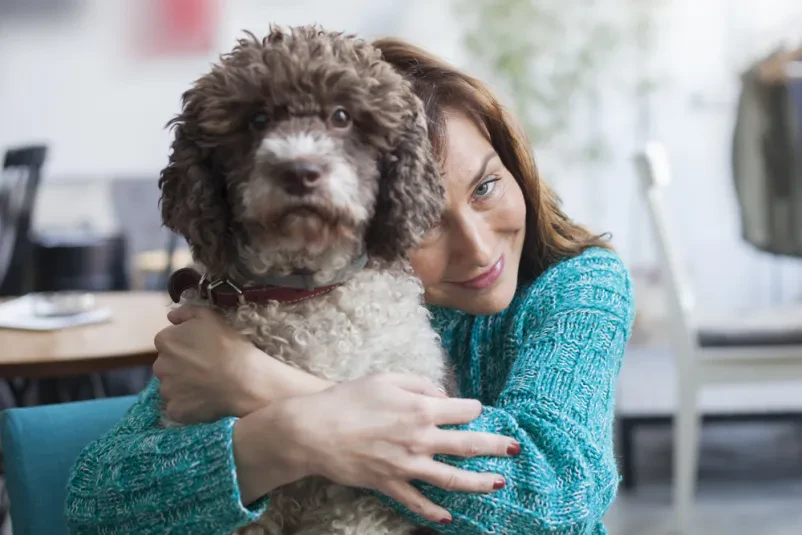 Vzreja psov Lagotto Romagnolo Murska Sobota