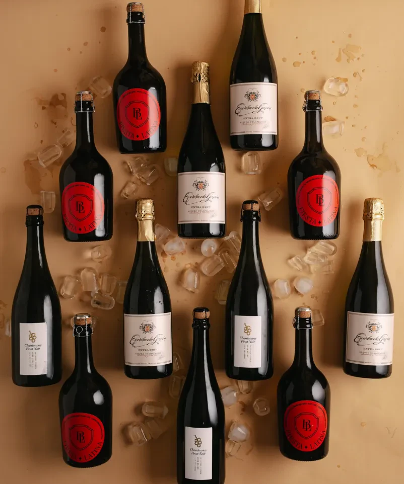 Različne steklenice vina ležijo poleg ledenih kock