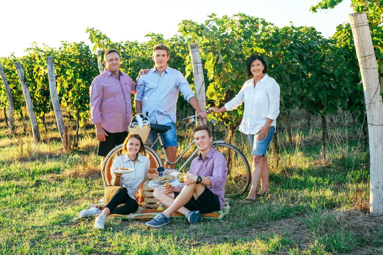 Ugodna prodaja vrhunskih vin Vipavska dolina