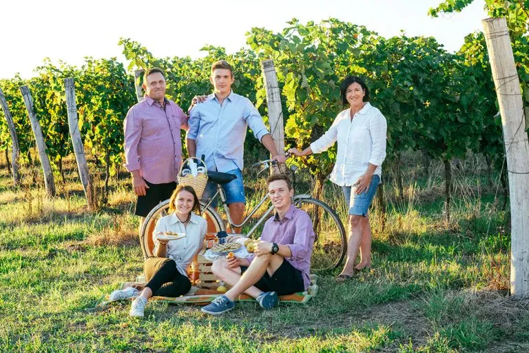 Ugodna prodaja vrhunskih vin Vipavska dolina