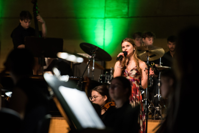 Fotografiranje prireditev in slavij 