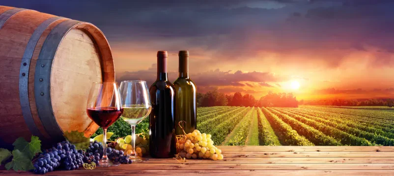 Aktivnosti društva, ki so na Dolenjskem usmerjene v promocijo vina pa tudi izobraževanje vinogradnikov in njihovih članov.