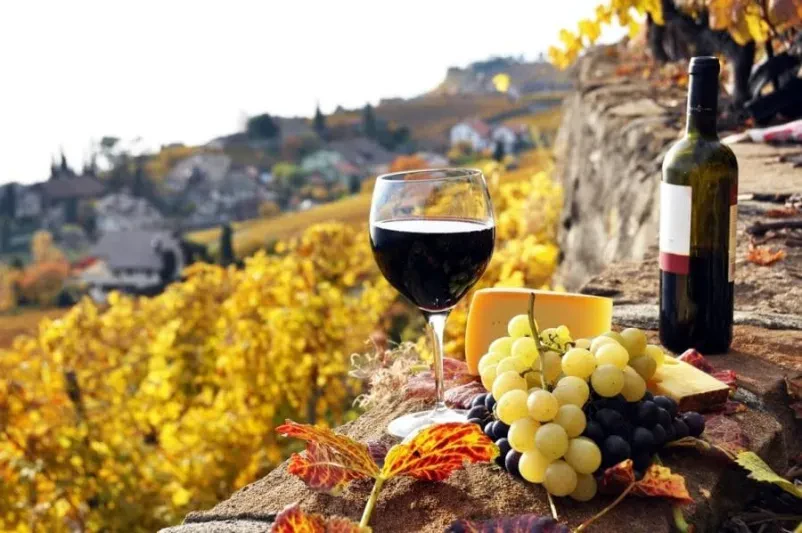 Skupina ljudi v sproščenem pogovoru in druženju na dogodku, verjetno degustaciji vin, kar spodbuja vinsko kulturo.