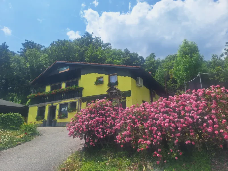 Dobra ribja restavracija Brežice, Dolenjska