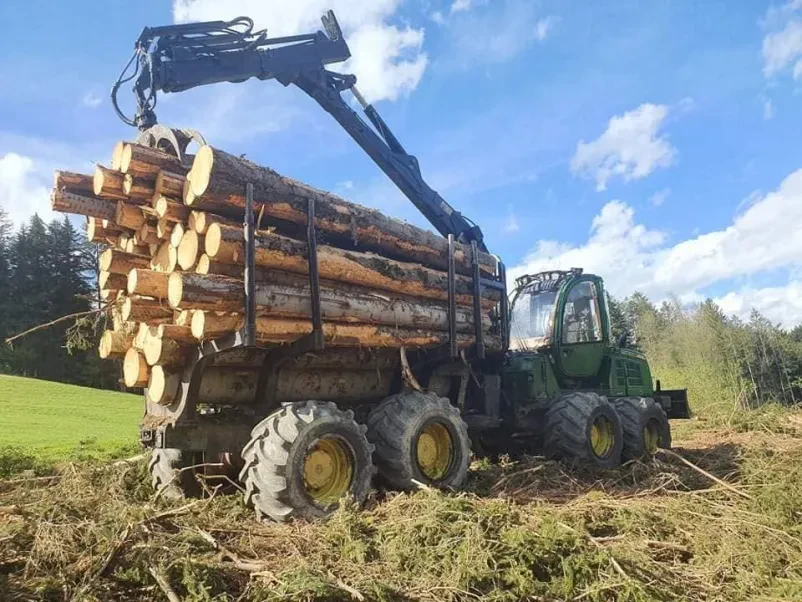 Strokovnjak za sečnjo lesa na Štajerskem