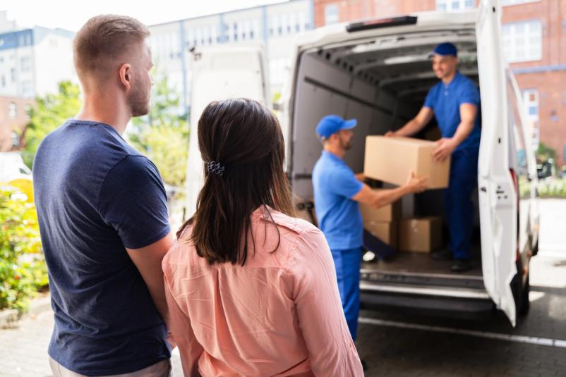 Logistika in urejen dom Dolenjska