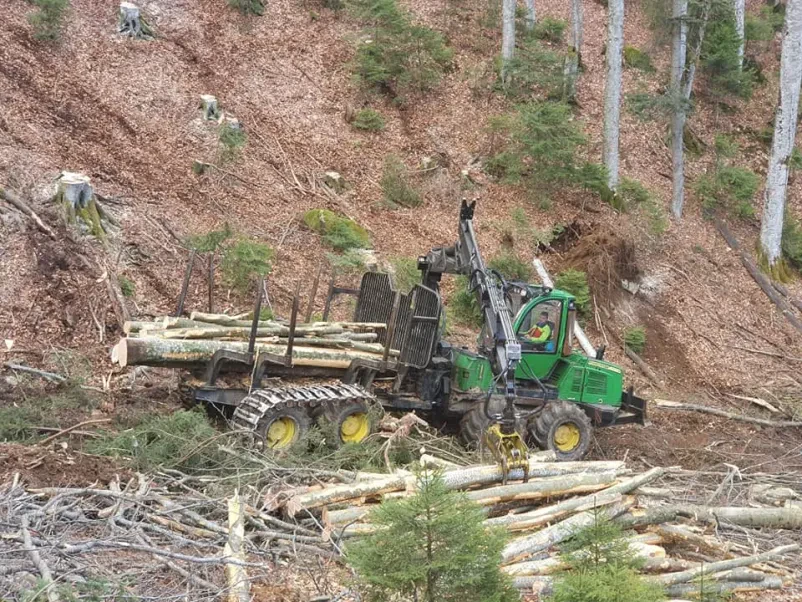 Ugodna sečnja in spravilo lesa Štajerska