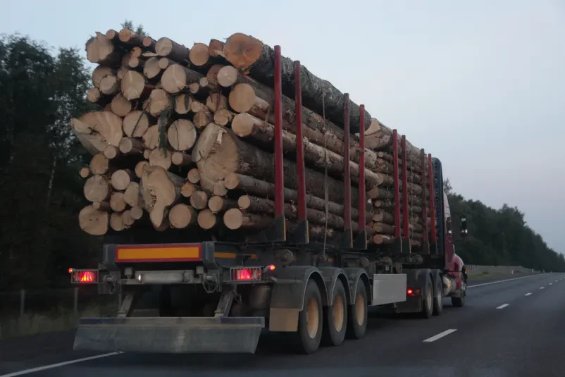 Strojna sečnja lesa Maribor, Štajerska