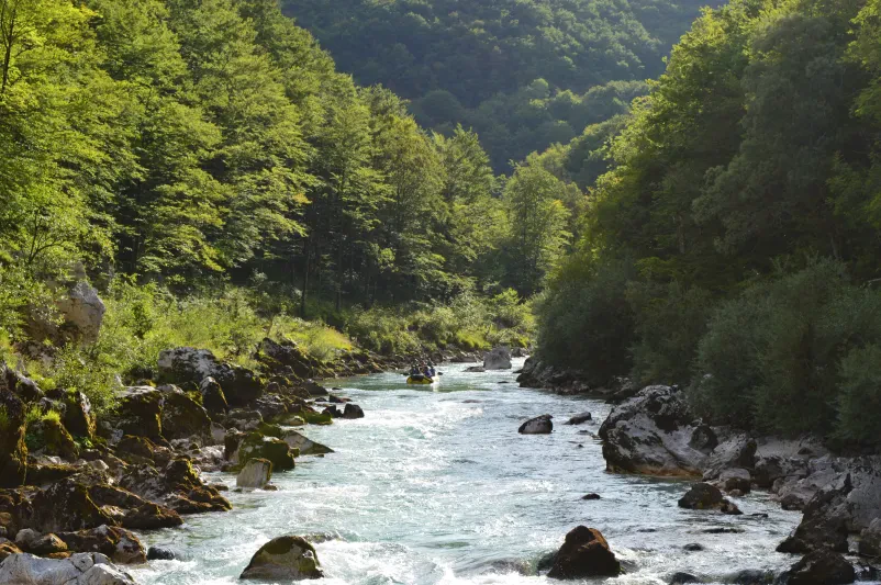 Sušec, Fratarica Soča, Bovec