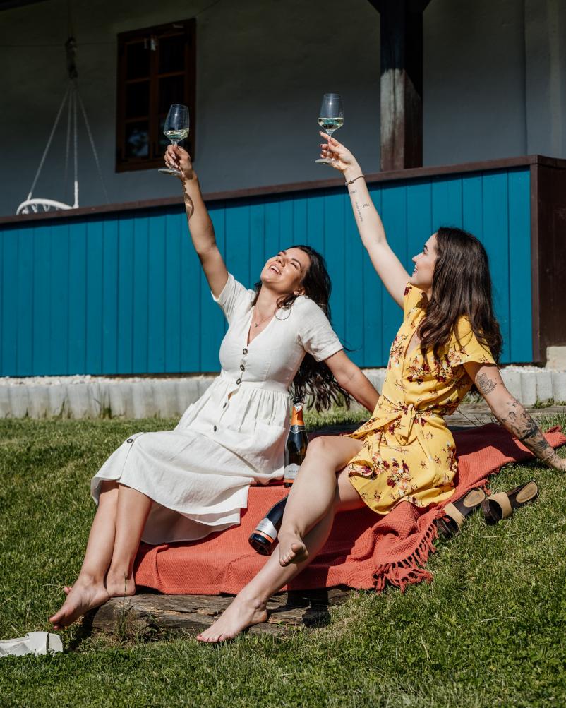 Prostor za druženja in dogodke Goričko