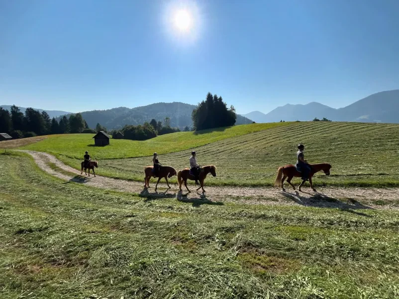 Terrain horse riding in Bohinj, Gorenjska