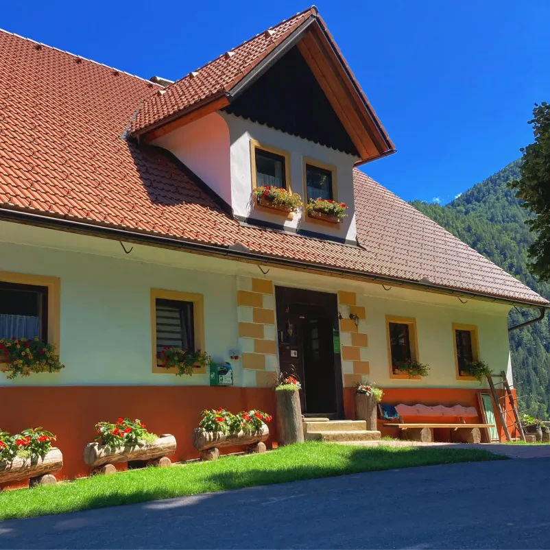 Tourist farm, apartments and rooms Logarska Valley