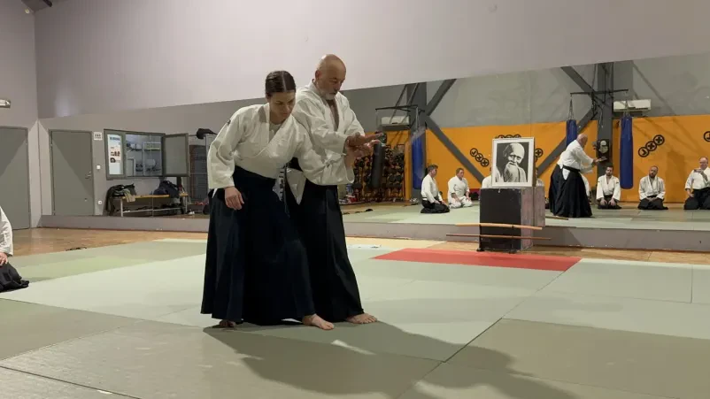 Kako poteka vadba na naših treningih aikida v Ljubljani?